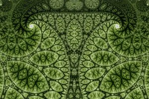 fractal pattern lines green abstraction 4k 1660351451