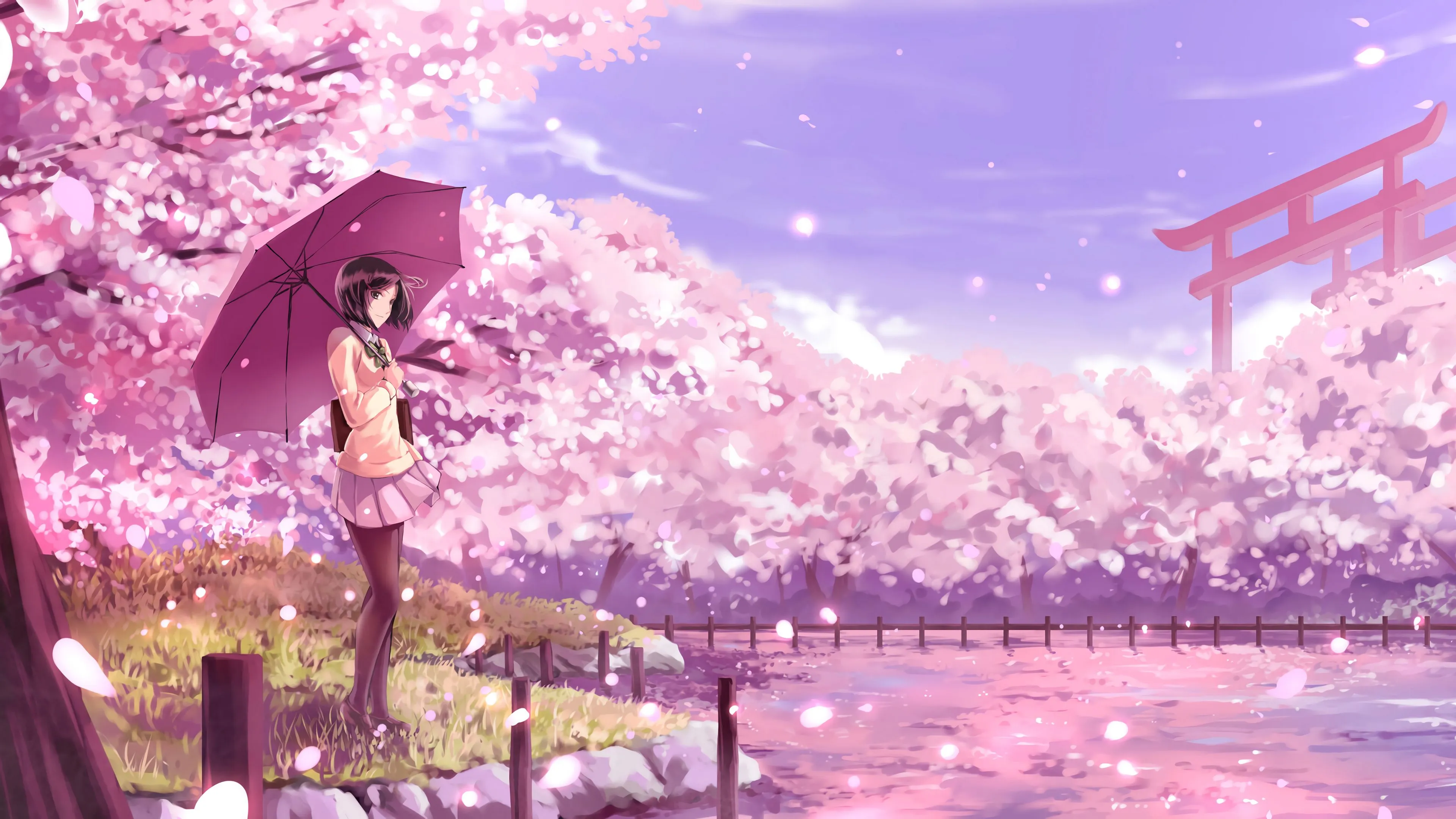 girl umbrella sakura anime art cartoon 4k 1660350852