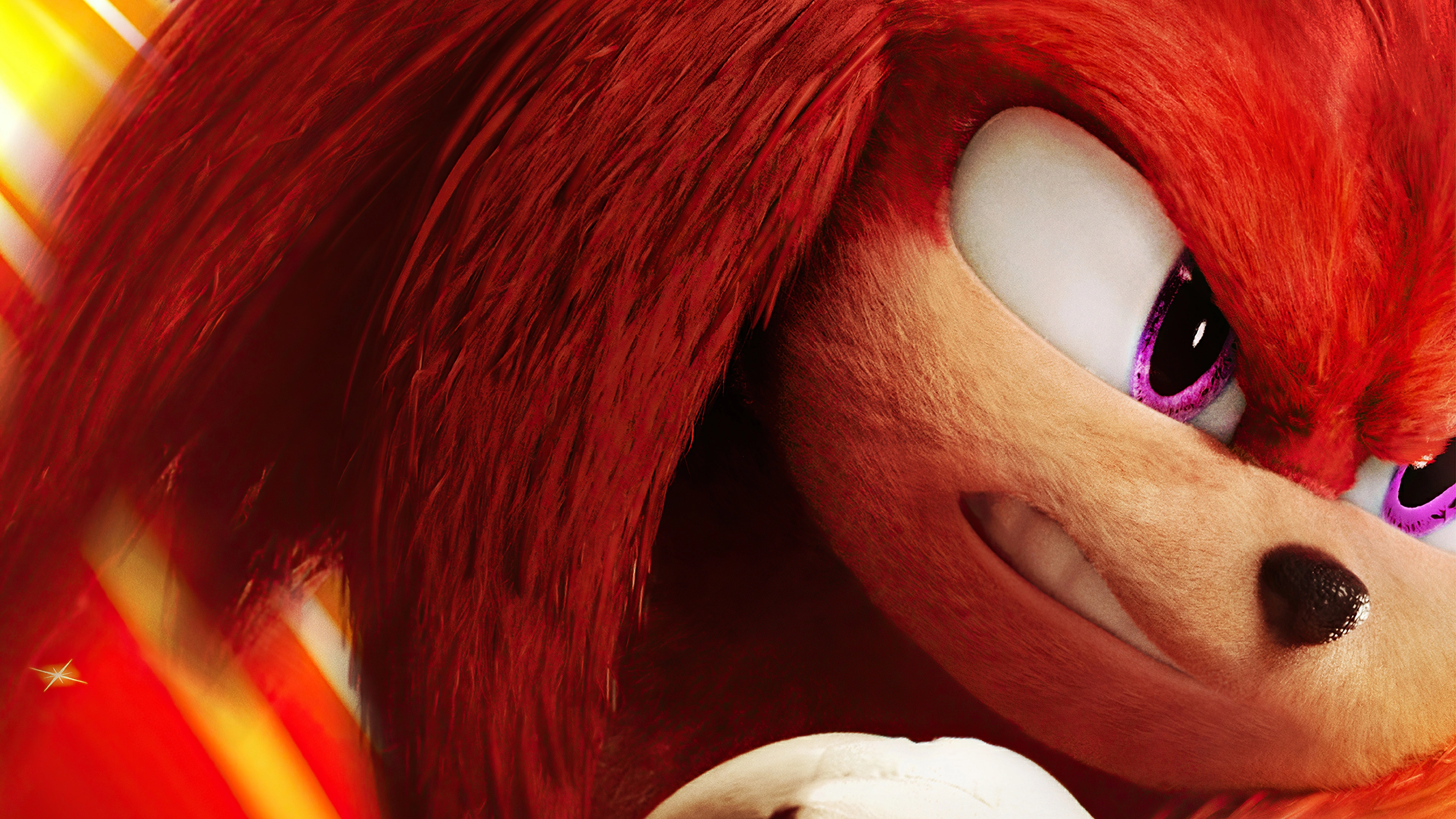 knuckles the echidna sonic the hedgehog 2 1675638344