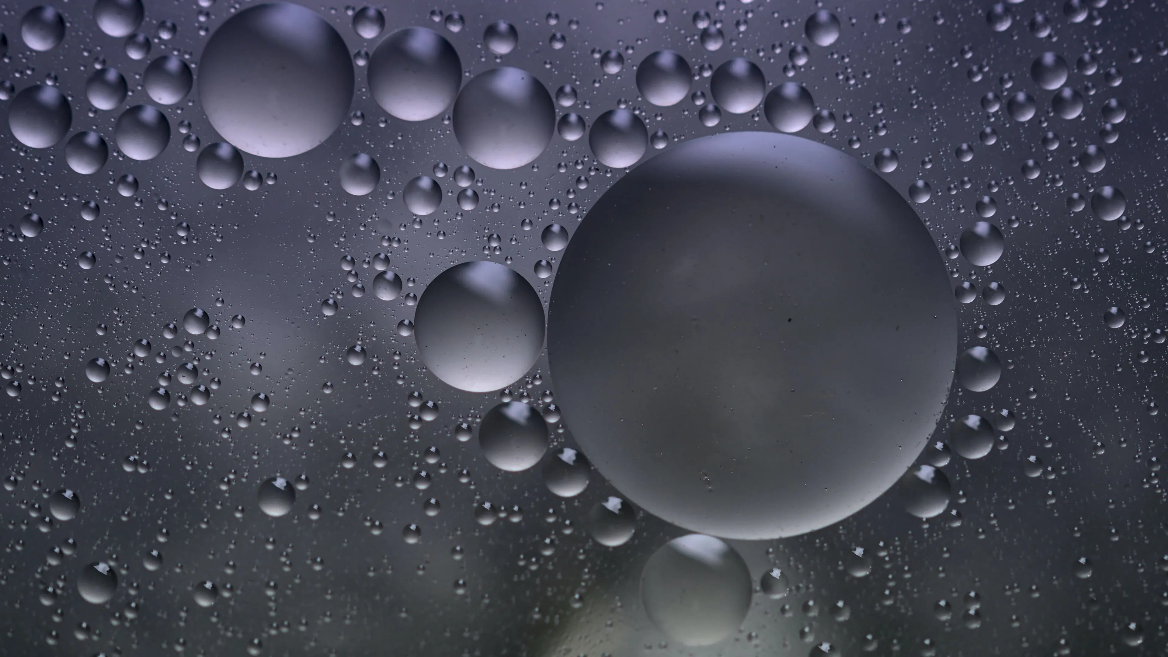 bubbles water round gray 4k 1691686546