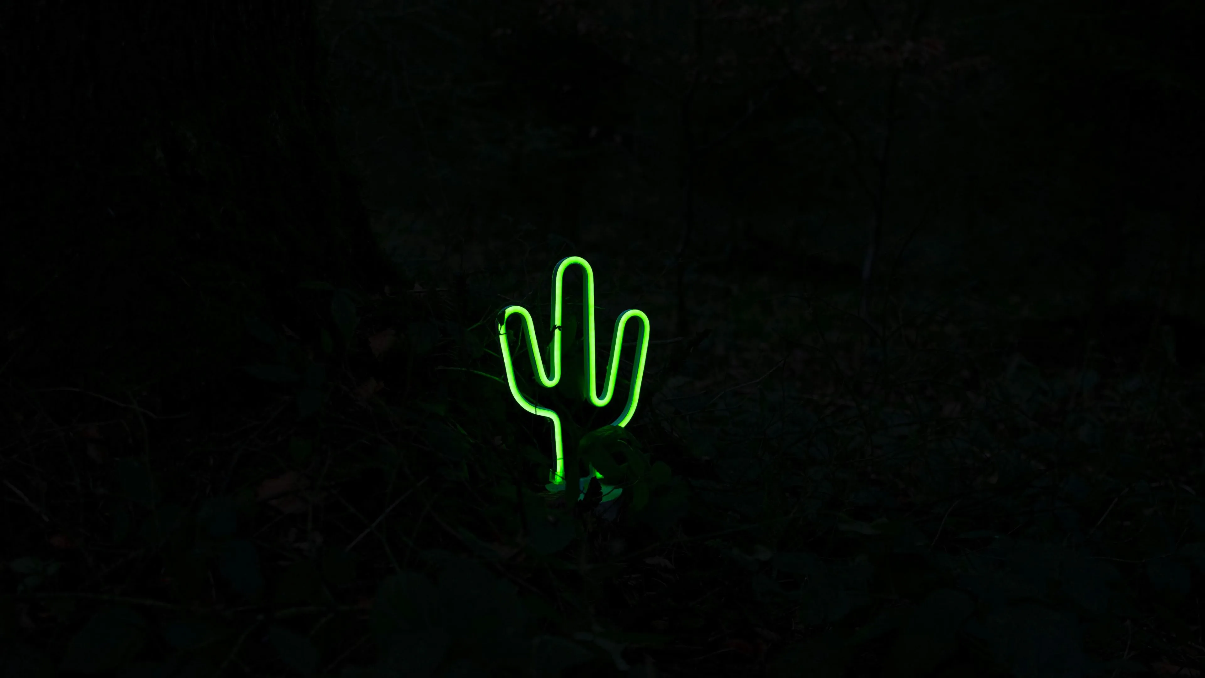 cactus neon dark green 4k 1691849809