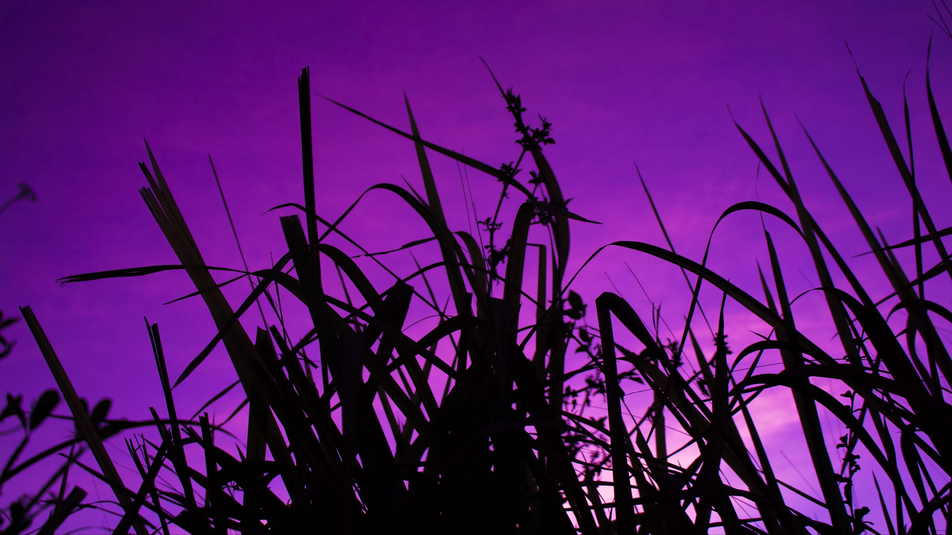 dark sky purple dusk 4k 1692100646