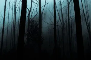 forest fog trees gloomy night 4k 1691849539