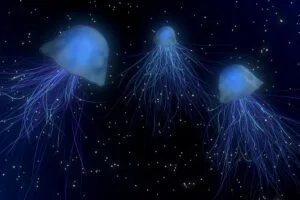 jellyfish abstract space underwater world 4k 1691575448