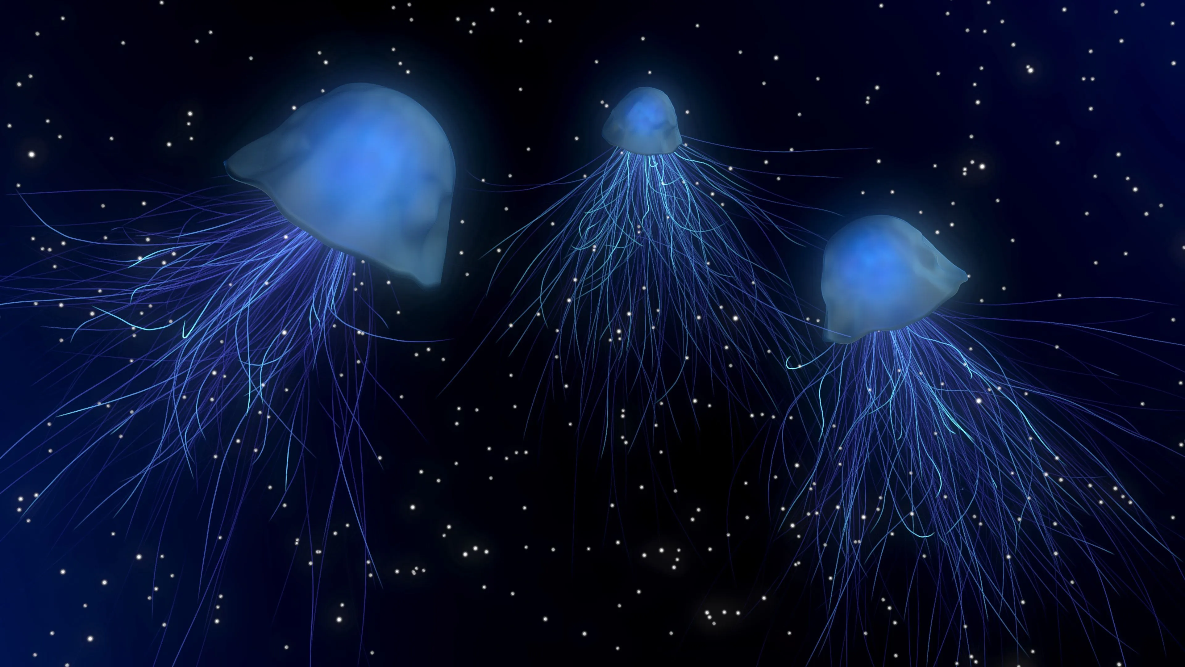 jellyfish abstract space underwater world 4k 1691575448