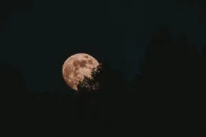 moon full moon trees night 4k 1692006754