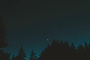 moon sky night trees crescent 4k 1692006750