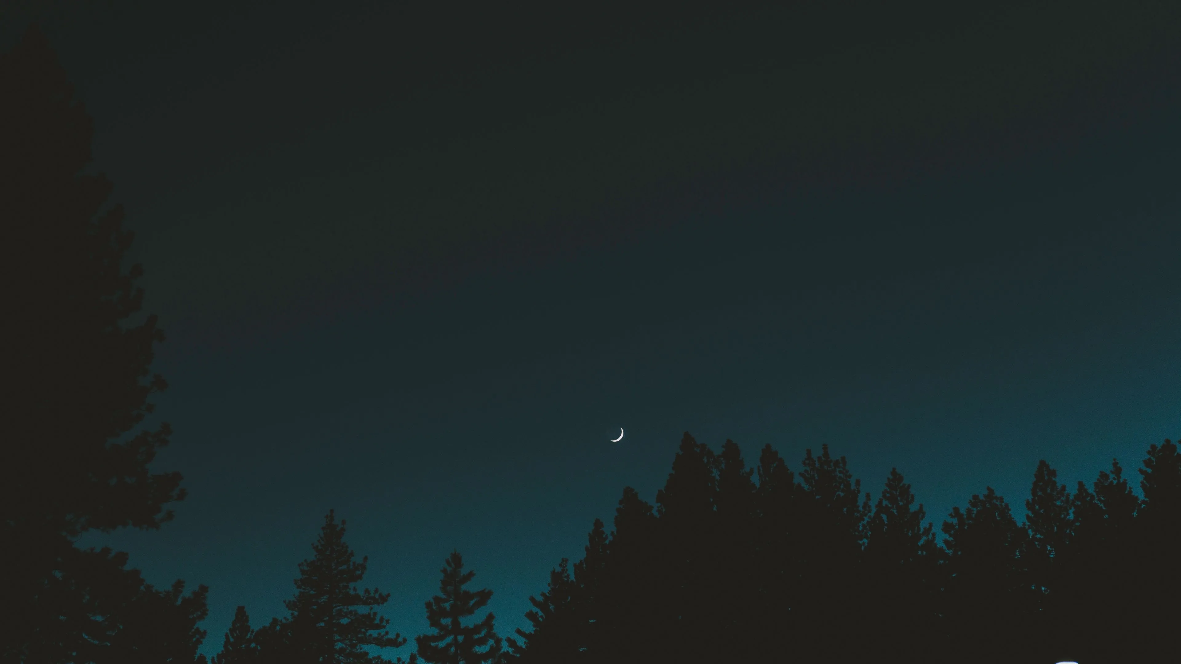 moon sky night trees crescent 4k 1692006750
