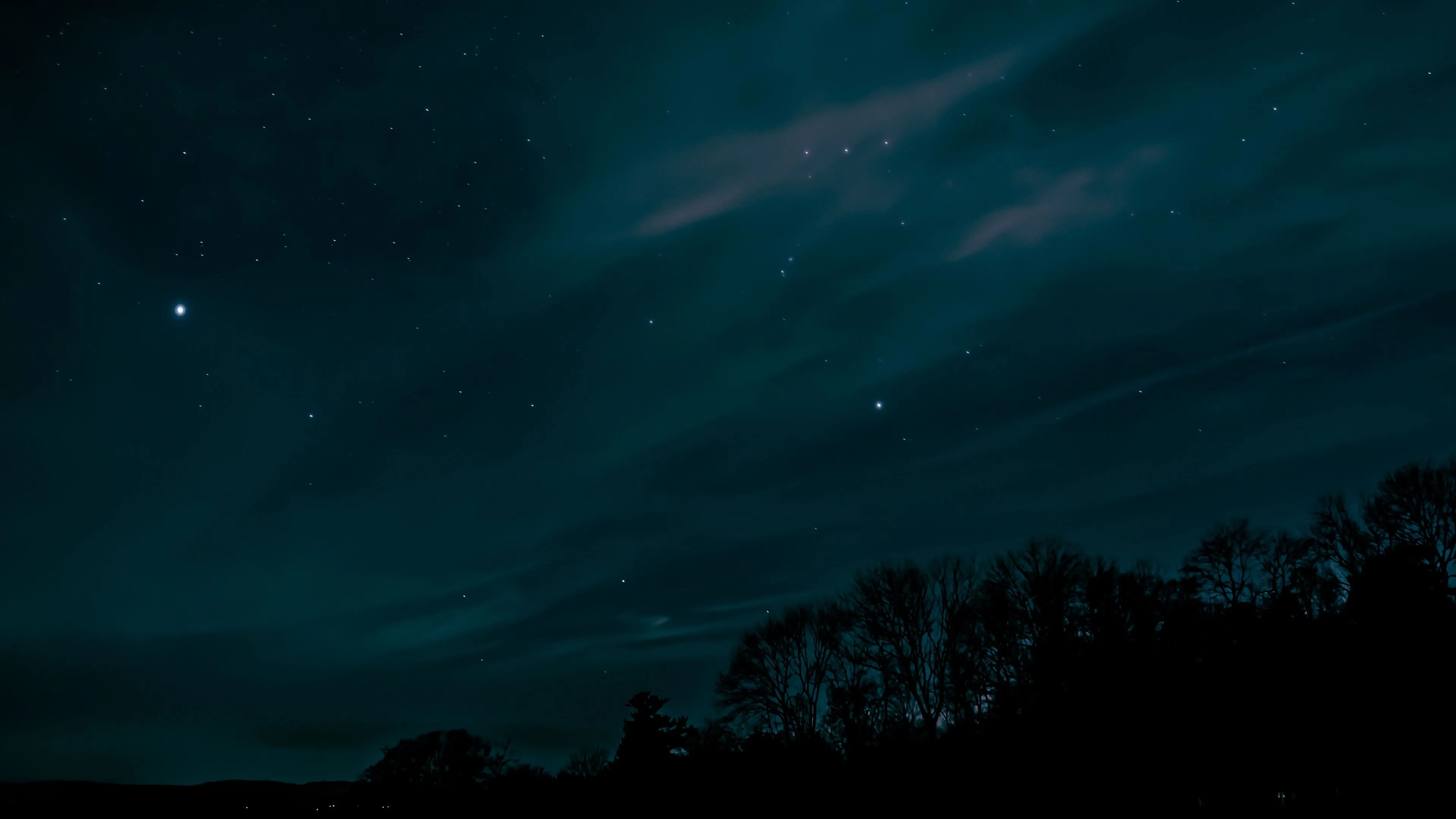 night sky stars trees 4k walpaper 1692030245
