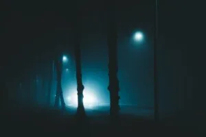 night trees fog lights light gloomy enveloping 4k 1692006750