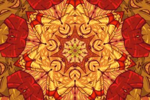 pattern abstraction mandala colorful 4k 1691767500