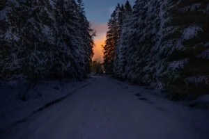 road trees snow winter dusk dark 4k 1692006754