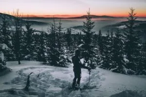 skier snow winter trees 4k 1691849539