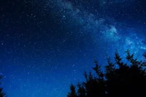 sky night stars glitter trees 4k 1692180674