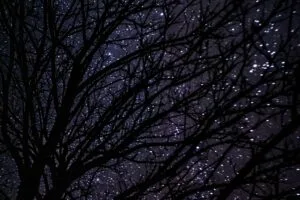 starry sky dark night 4k 1692100033