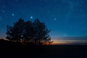 starry sky night trees stars landscape 4k 1691849538