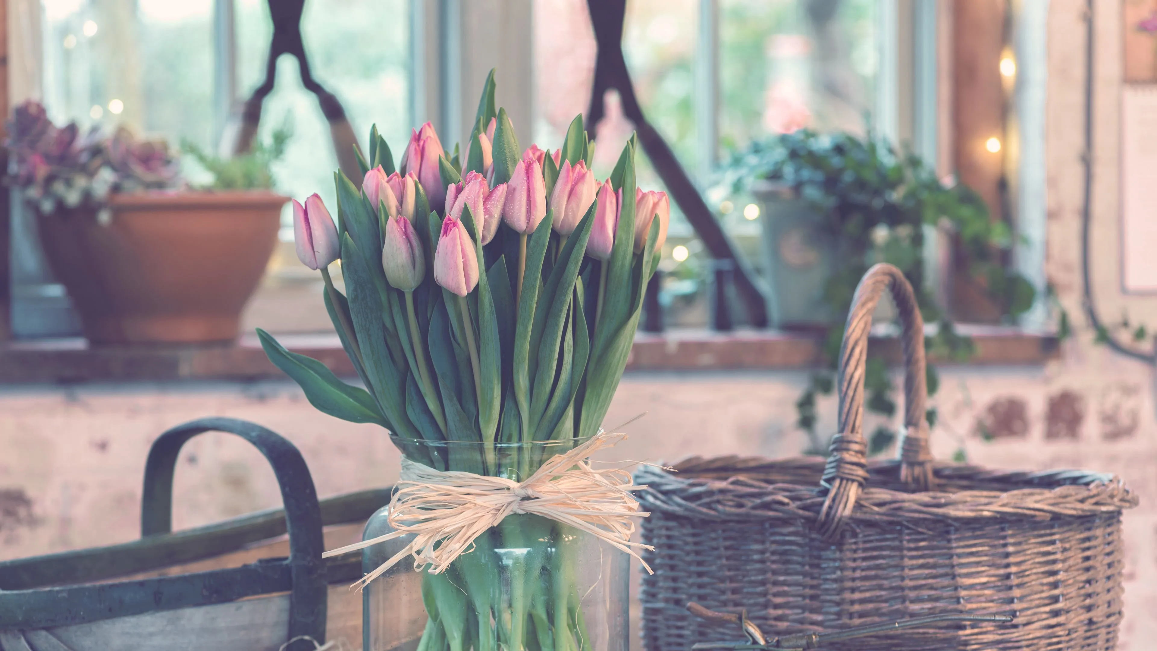 tulips bouquet vase 4k 1692269639