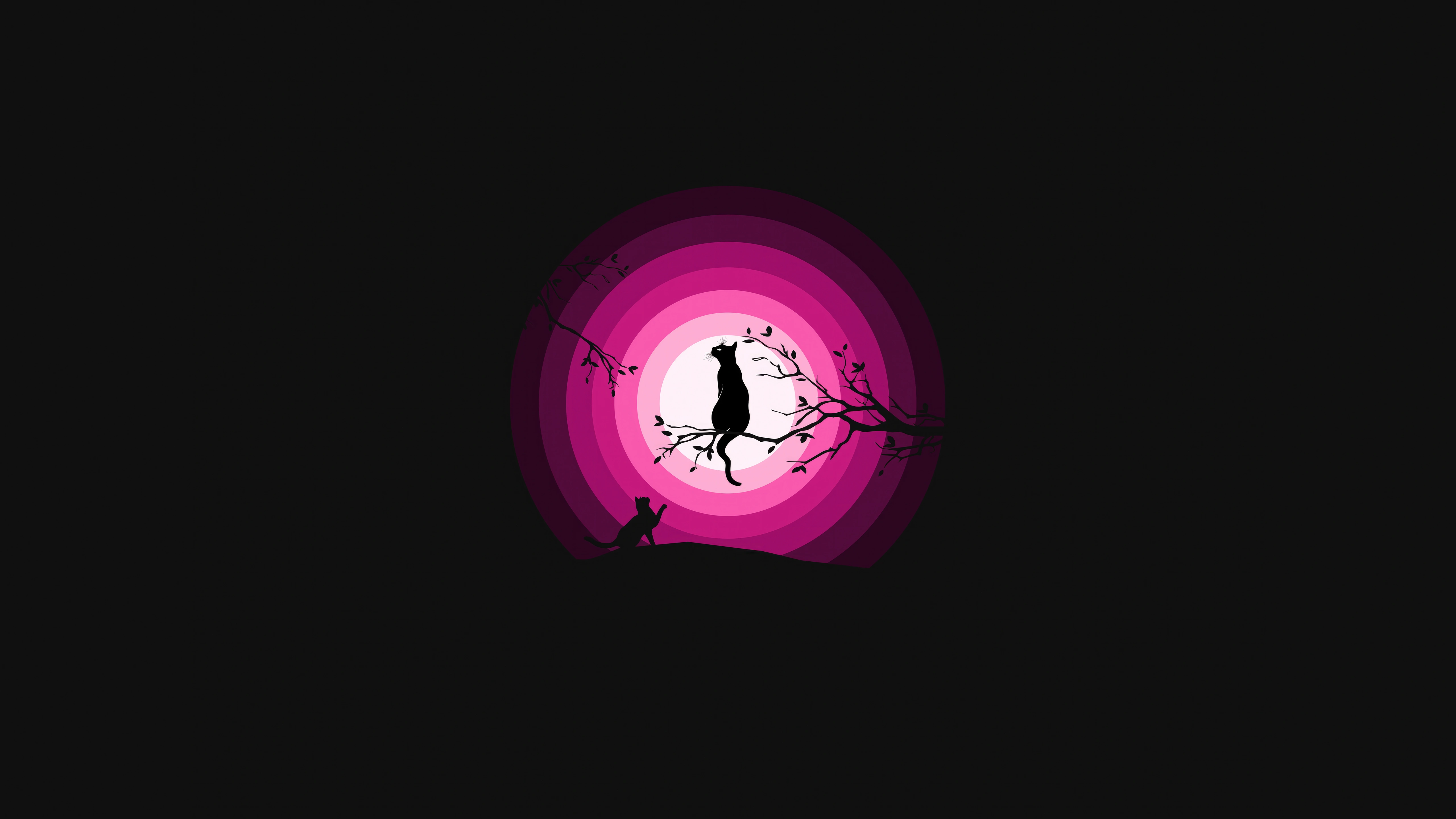 cats moon pink silhouette 5k hi.jpg