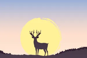 deer at sunset minimal 4k 5q.jpg