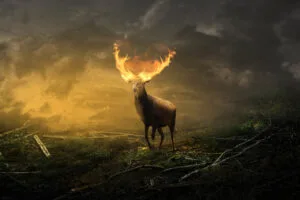 deer with burning horns eh.jpg