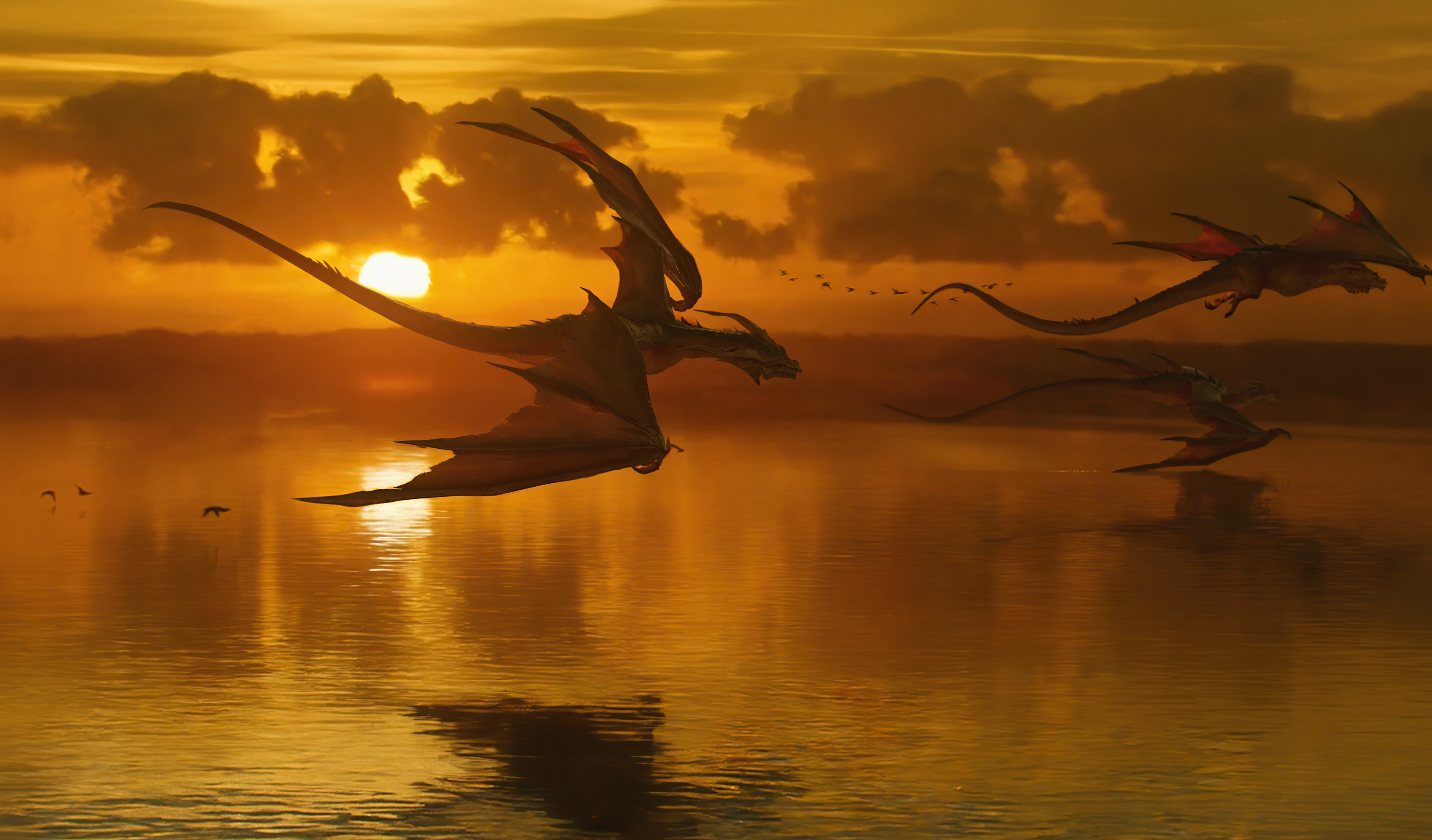 dragon origins yc.jpg