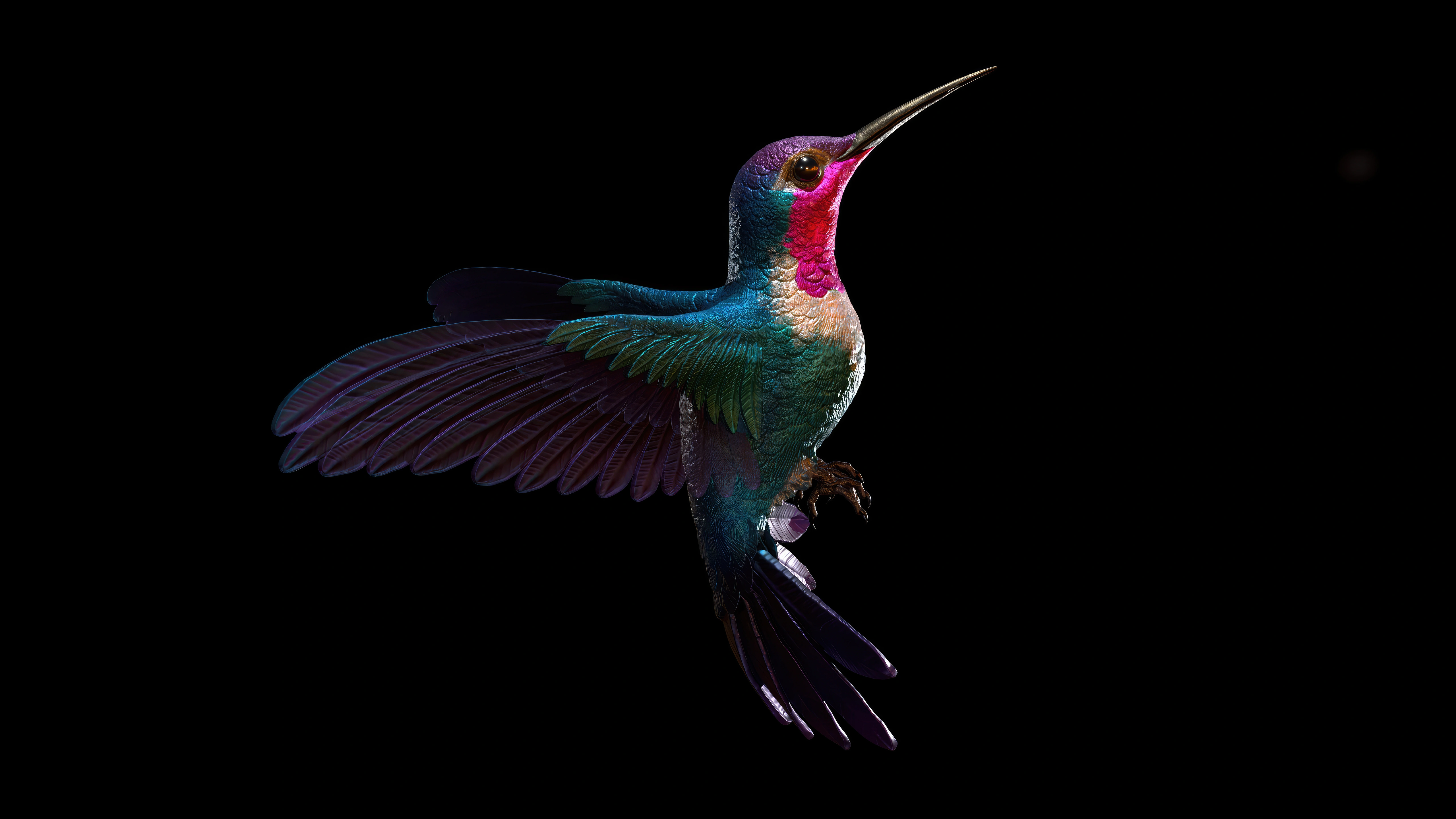 hummingbird dark 5k sk.jpg