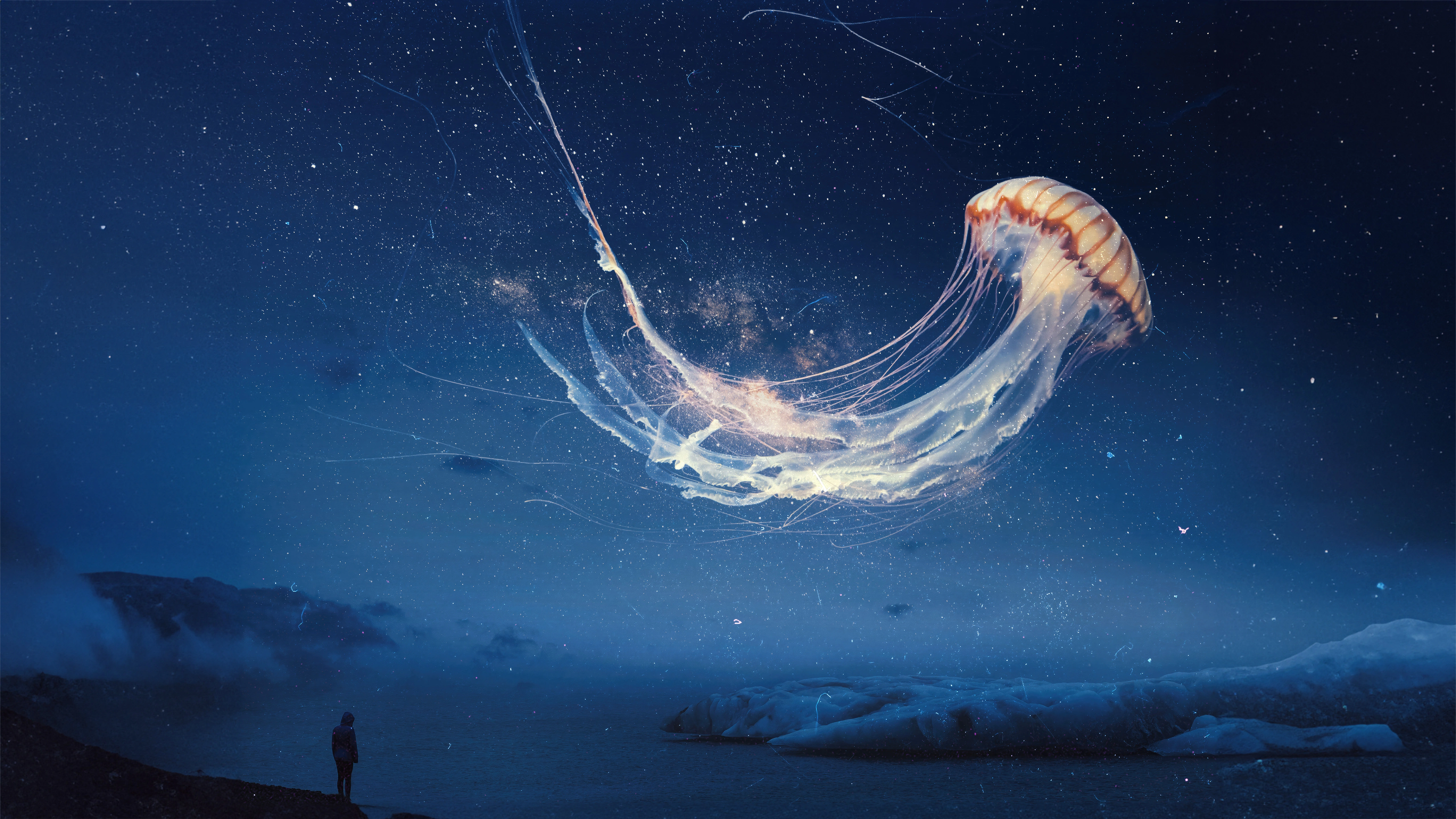 jellyfish dream surreal night sky alone ut.jpg