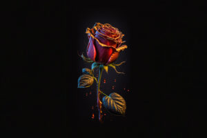 rose dark g4.jpg