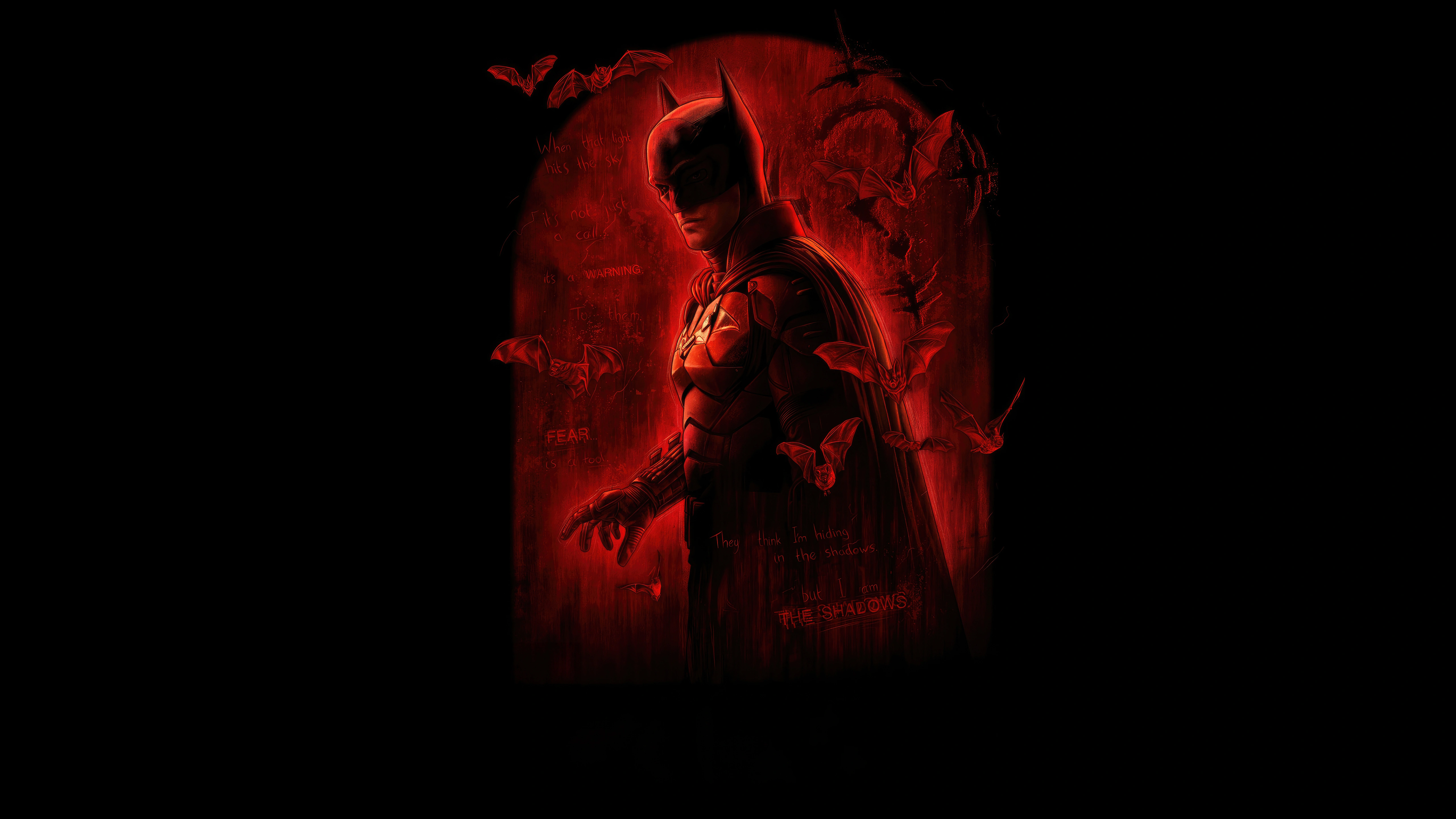 the batman i am the shadow sa.jpg