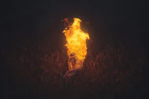 the burning soul rs.jpg