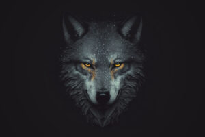 wolf digital 4k p2.jpg