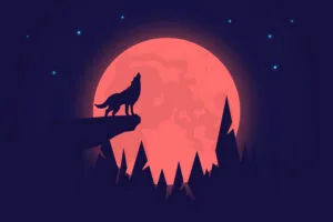wolf howling full moon ck.jpg