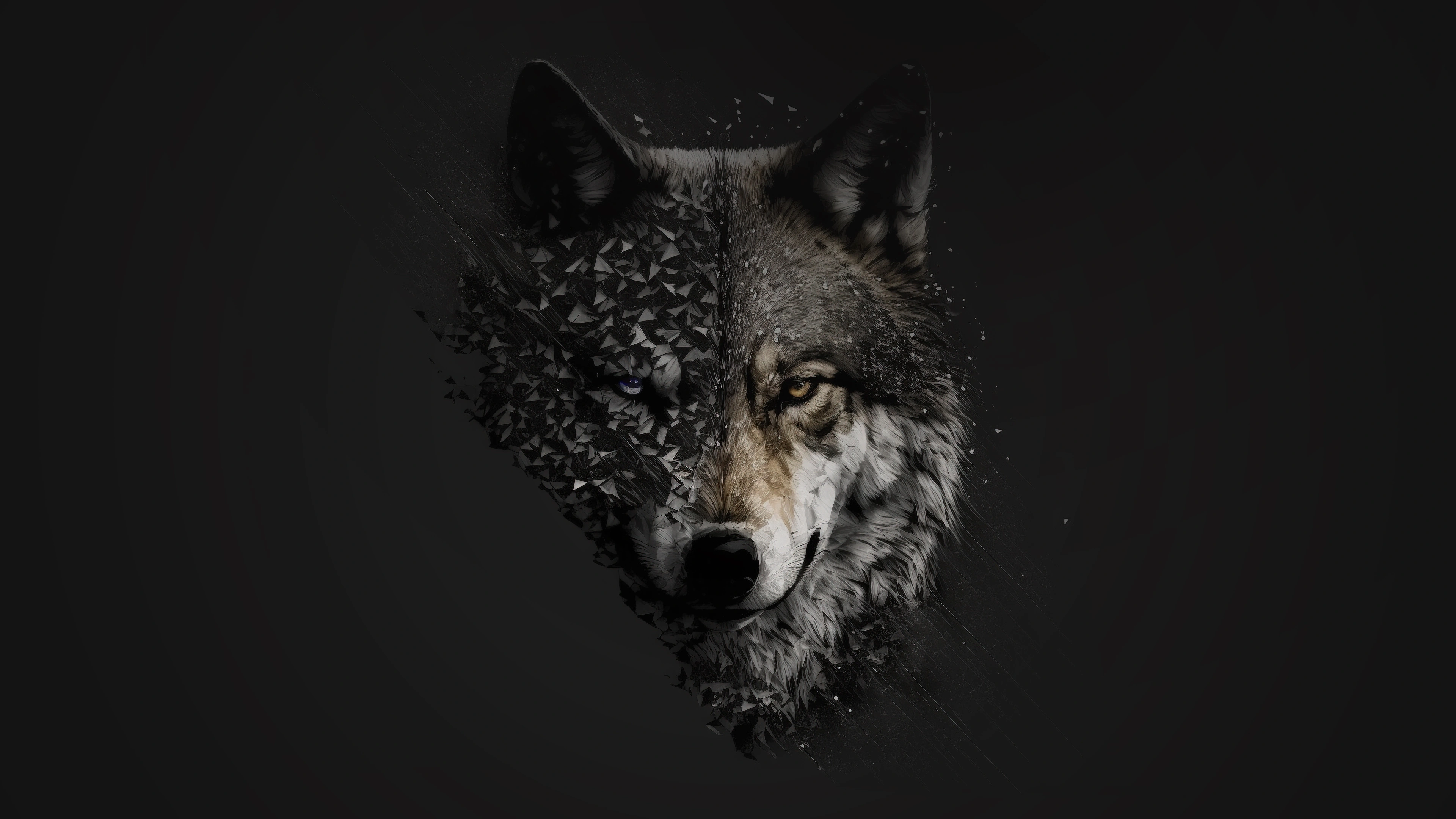 wolf minimal 4k ks.jpg