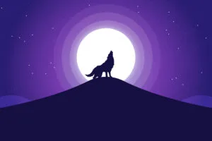 wolf silhouette illustration 5k 0f.jpg