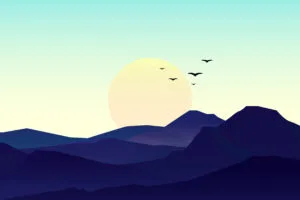 birds minimal sunset 4k ol.jpg