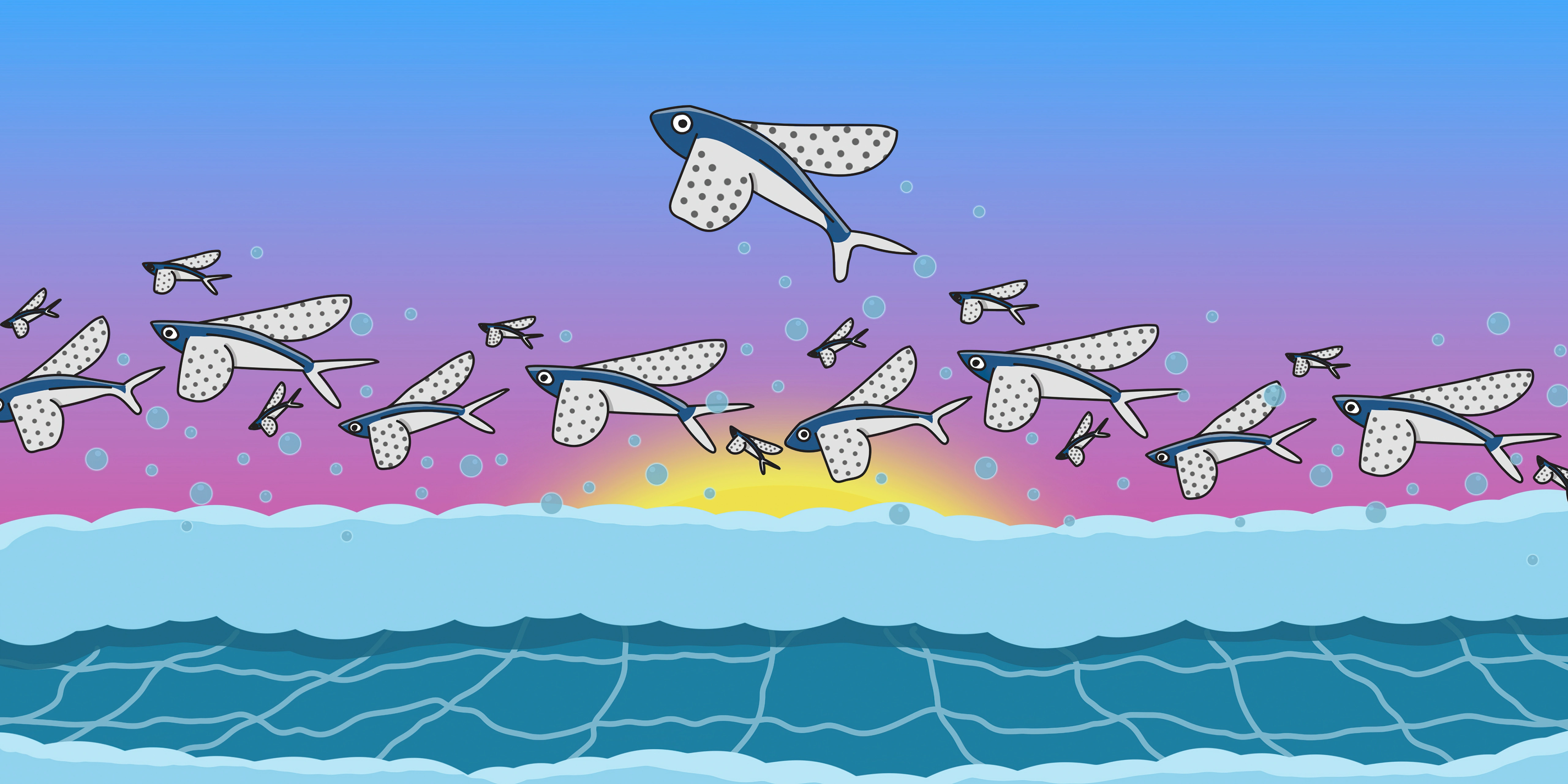 flying dolphins 16.jpg