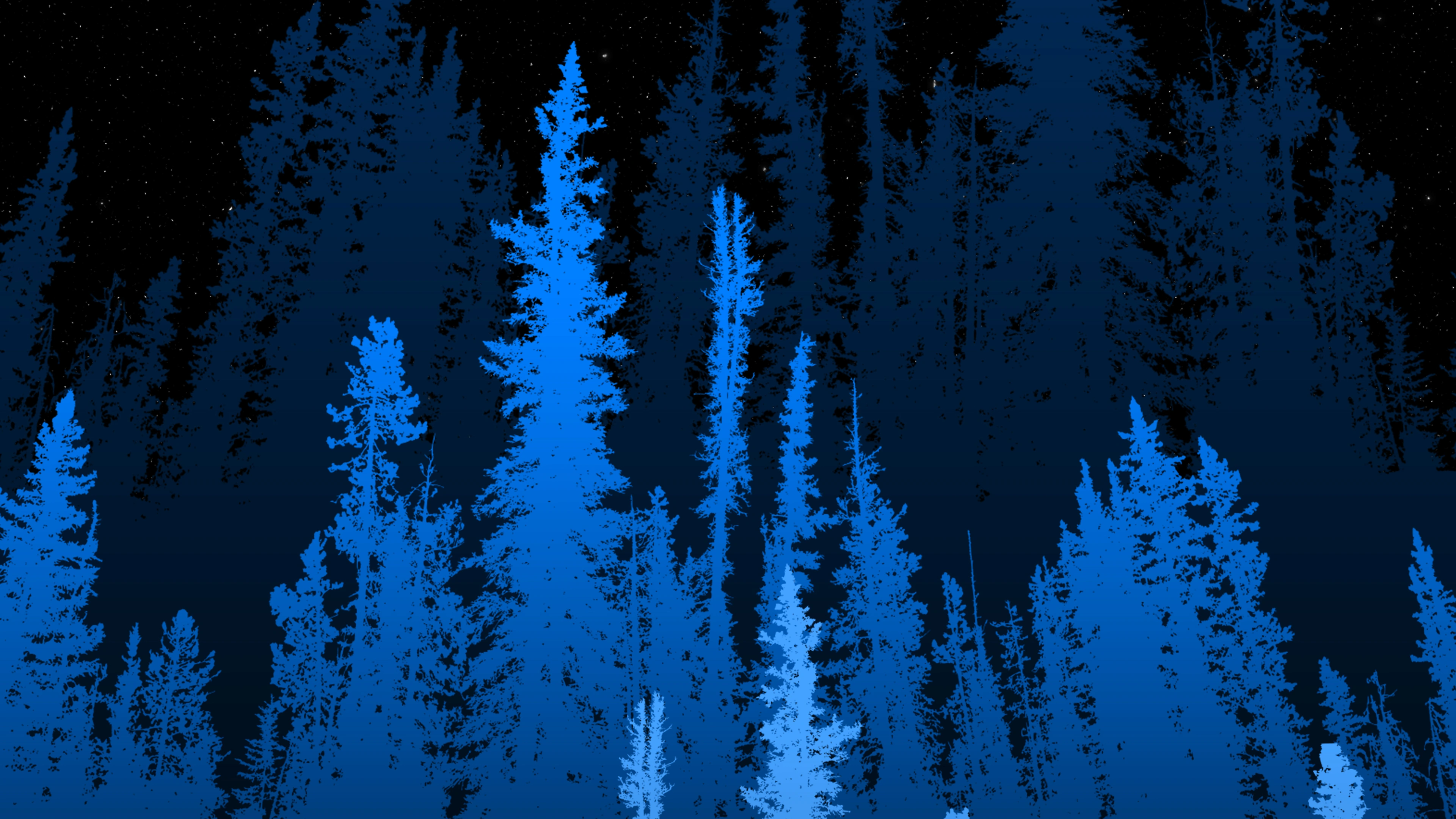 forest long blue trees 4k p5.jpg