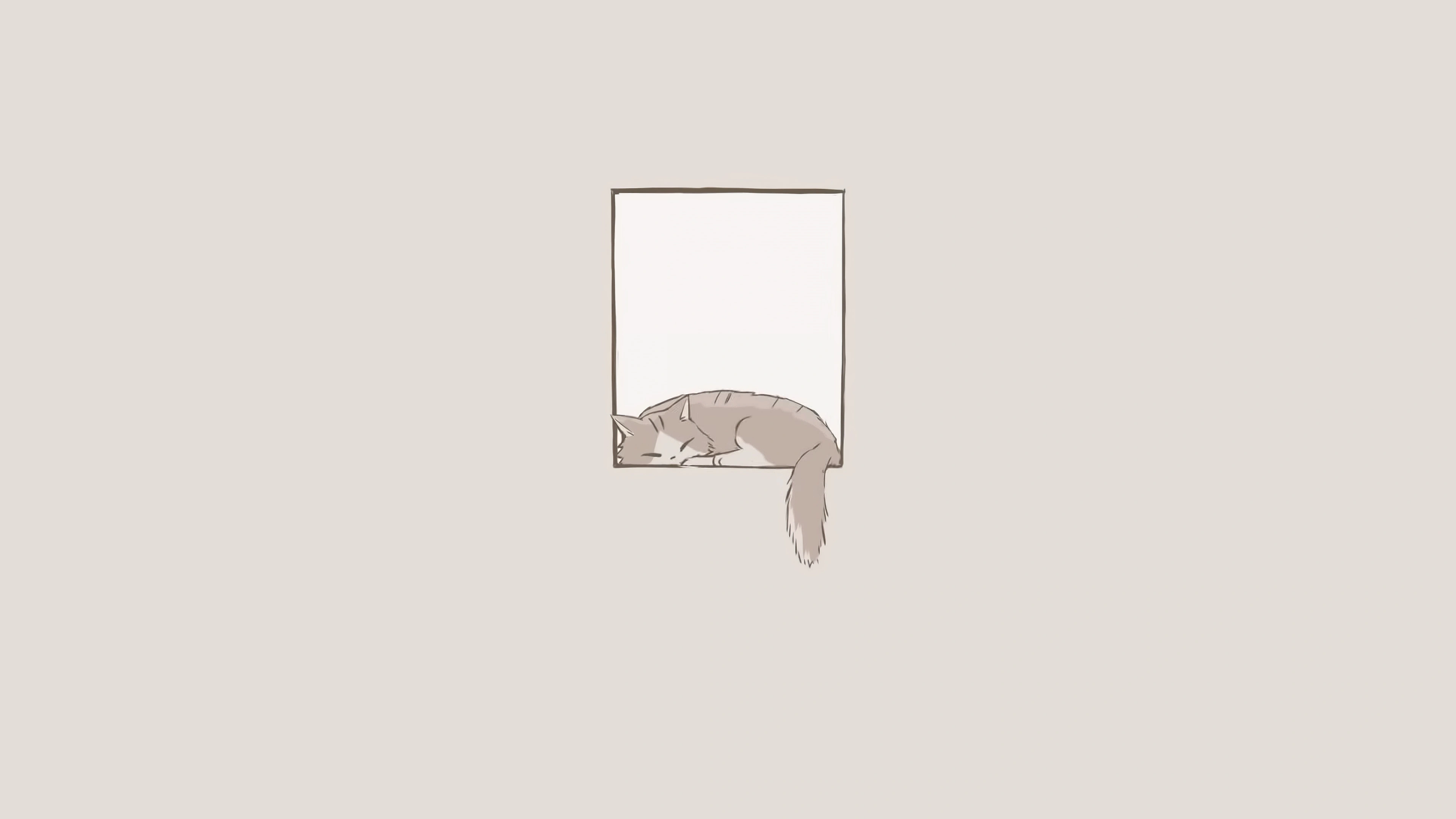 minimalist cat window sleeping 4k tl.jpg