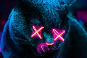 neon cat 52.jpg