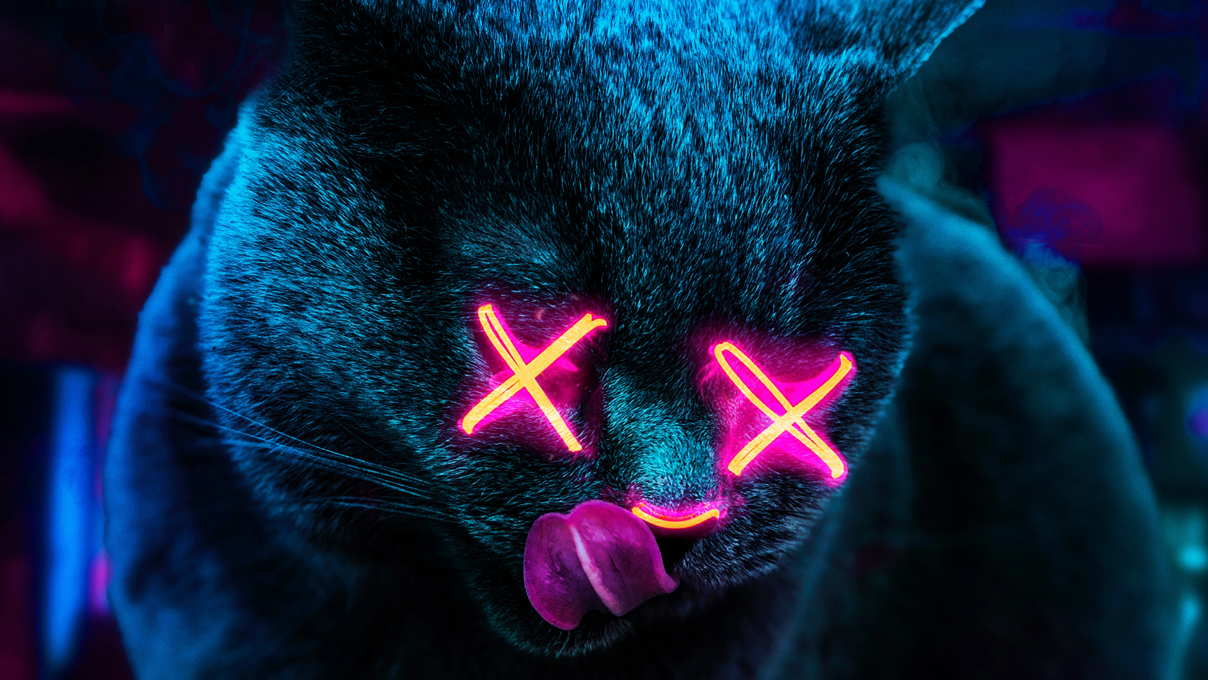 neon cat 52.jpg