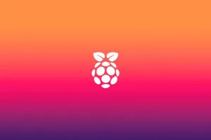 raspberry pi logo minimal 5k 3h.jpg