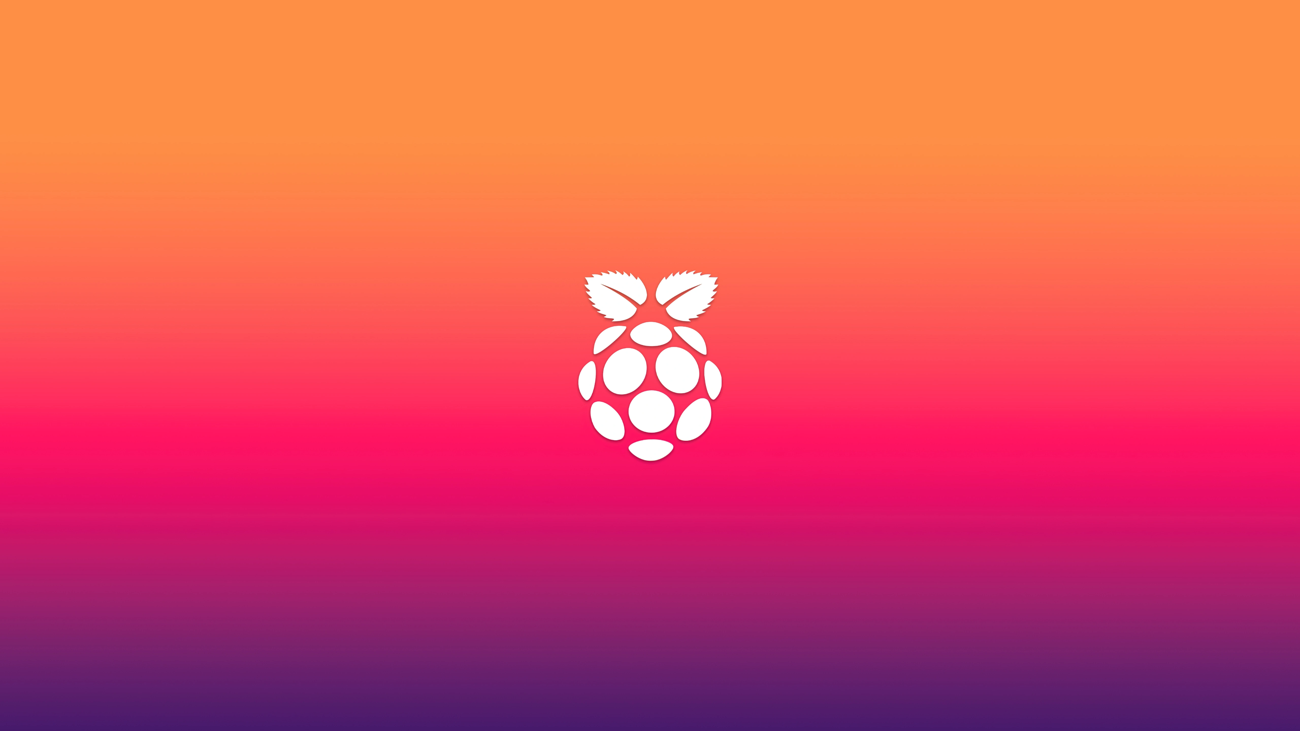 raspberry pi logo minimal 5k 3h.jpg