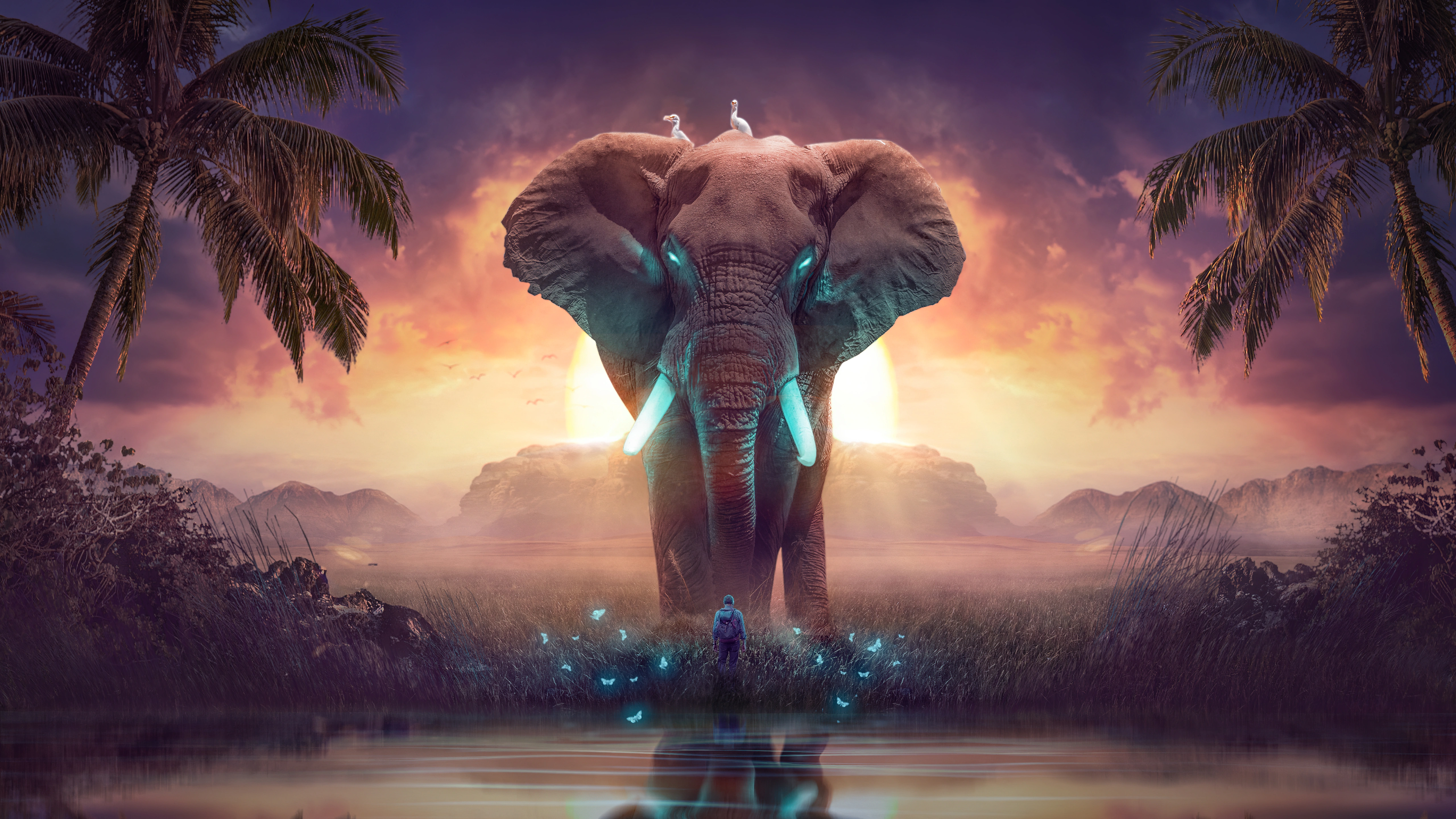 the elephant dream 8u.jpg