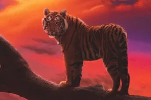 tiger the amber dream 76.jpg