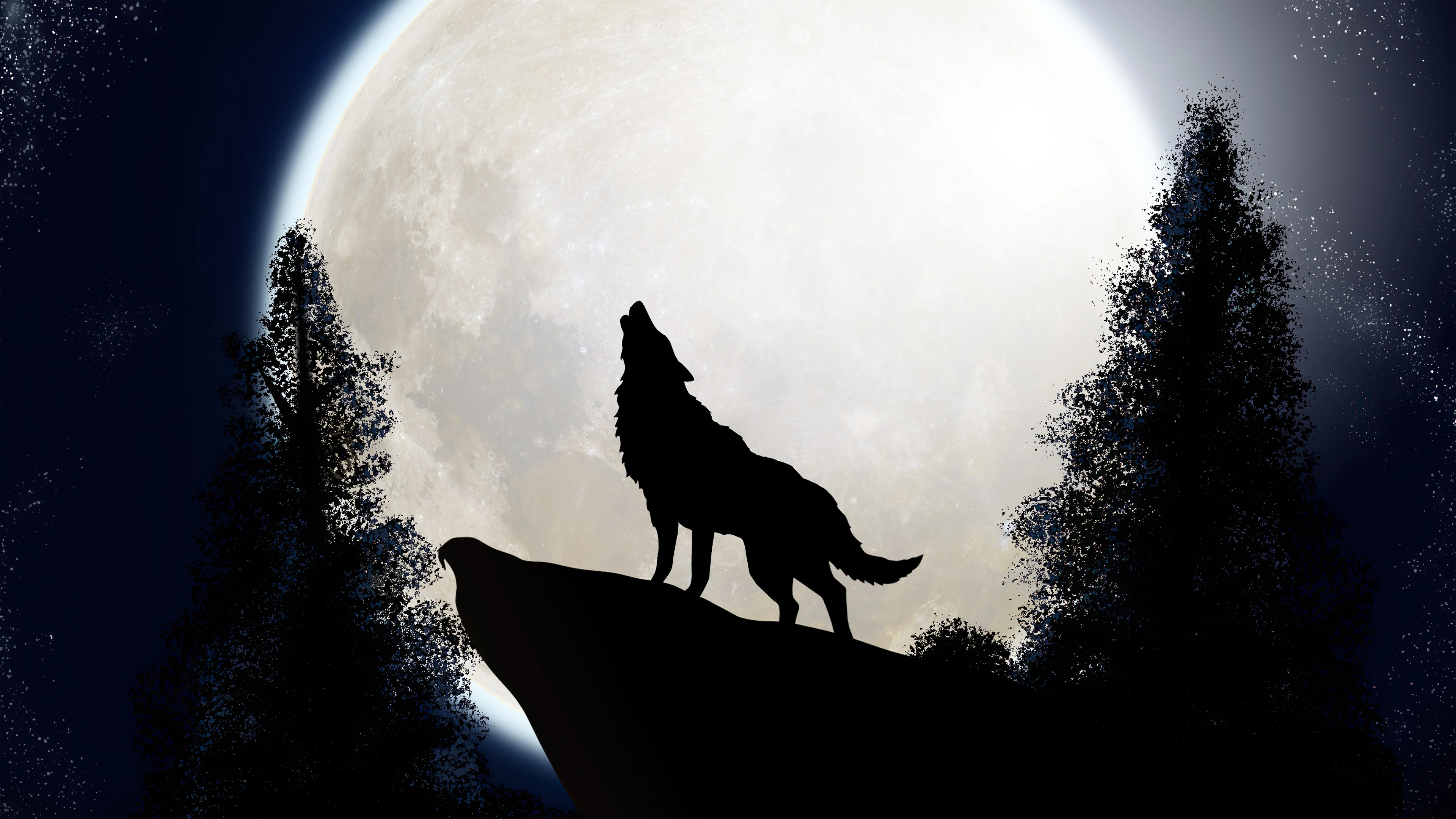 wolf the midnight colf 6p.jpg