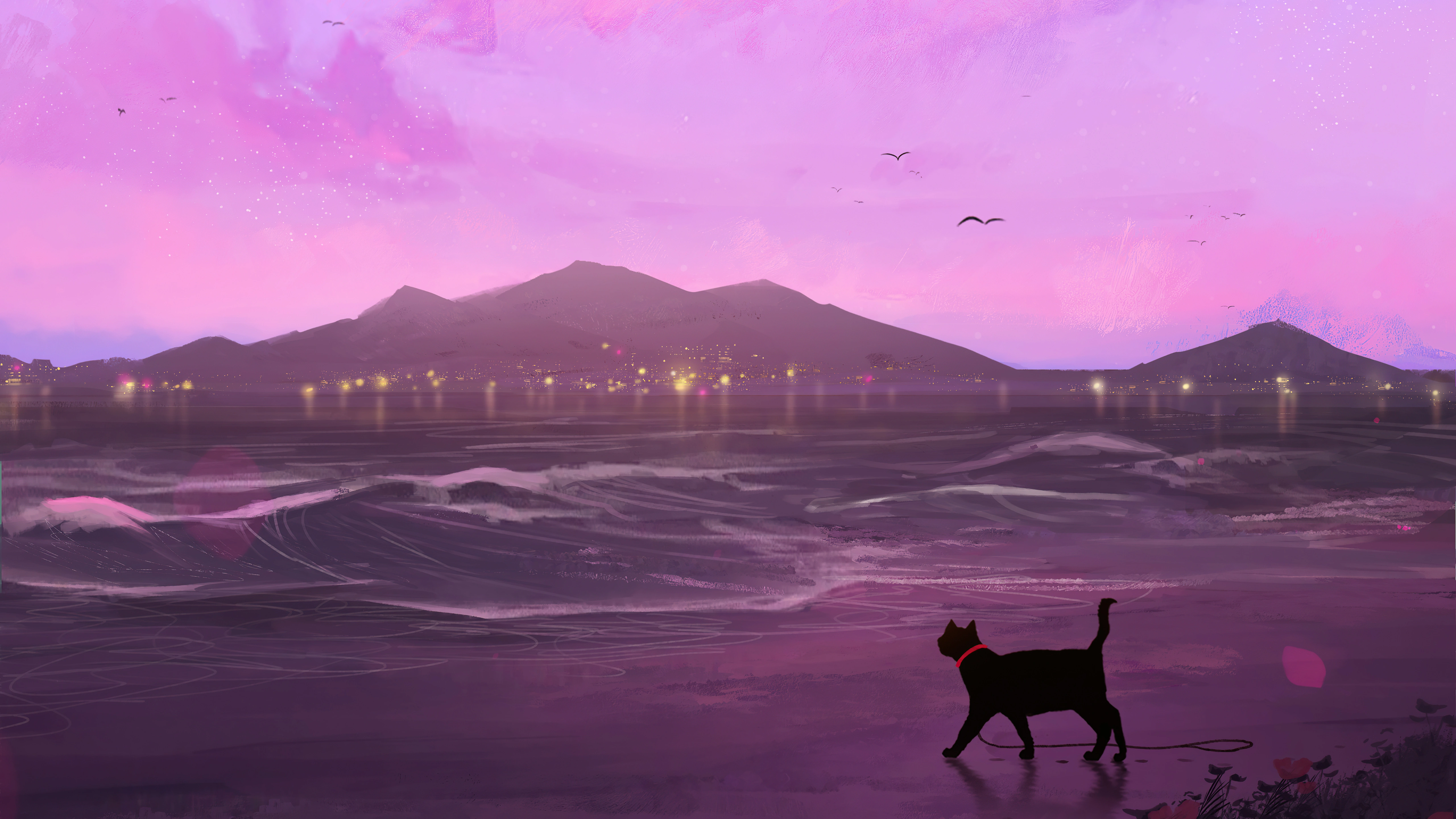 cat beach silhouette 4s.jpg