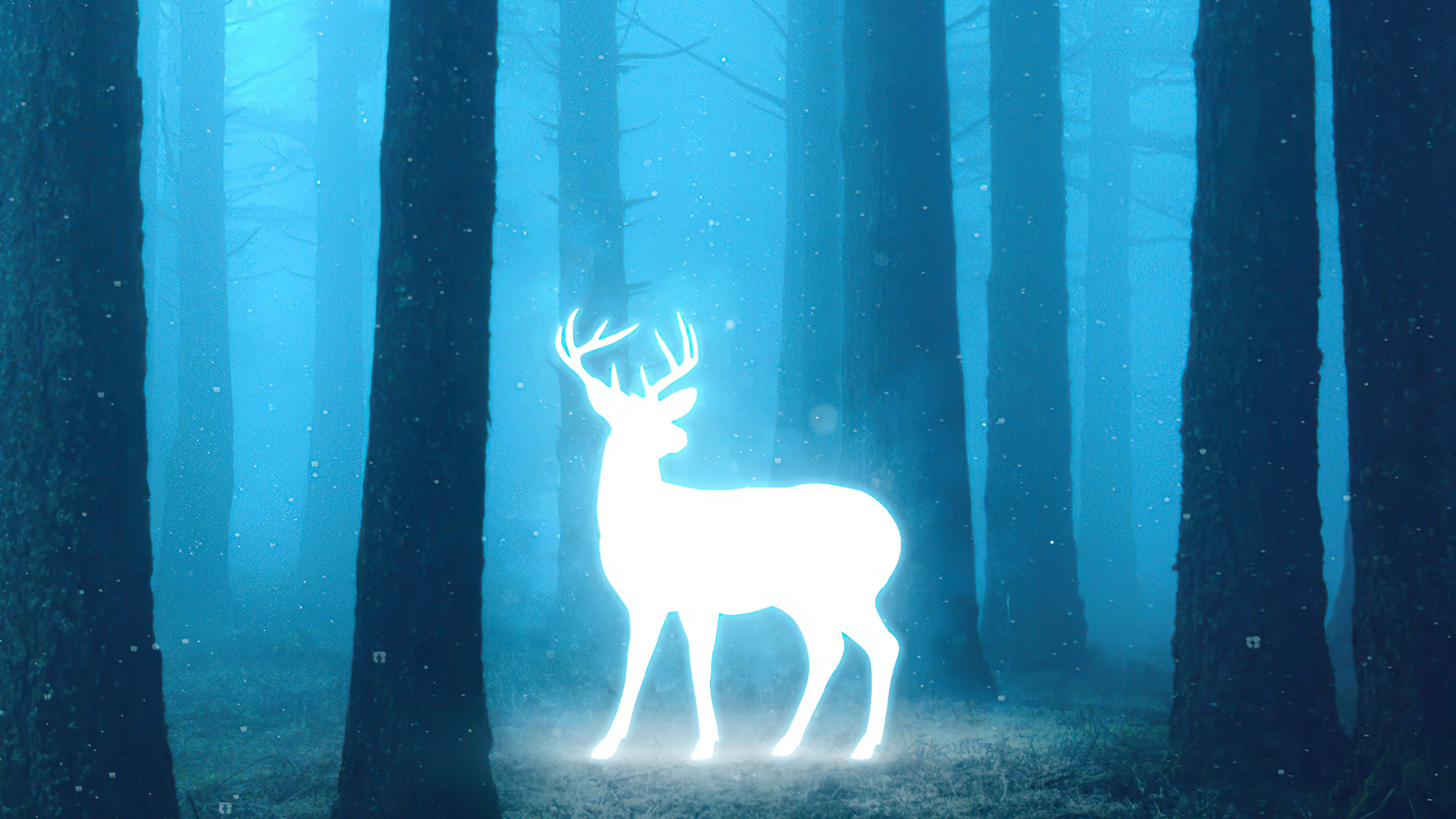 deer in magical forest 2b.jpg