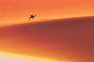 desert man camel safari 64.jpg