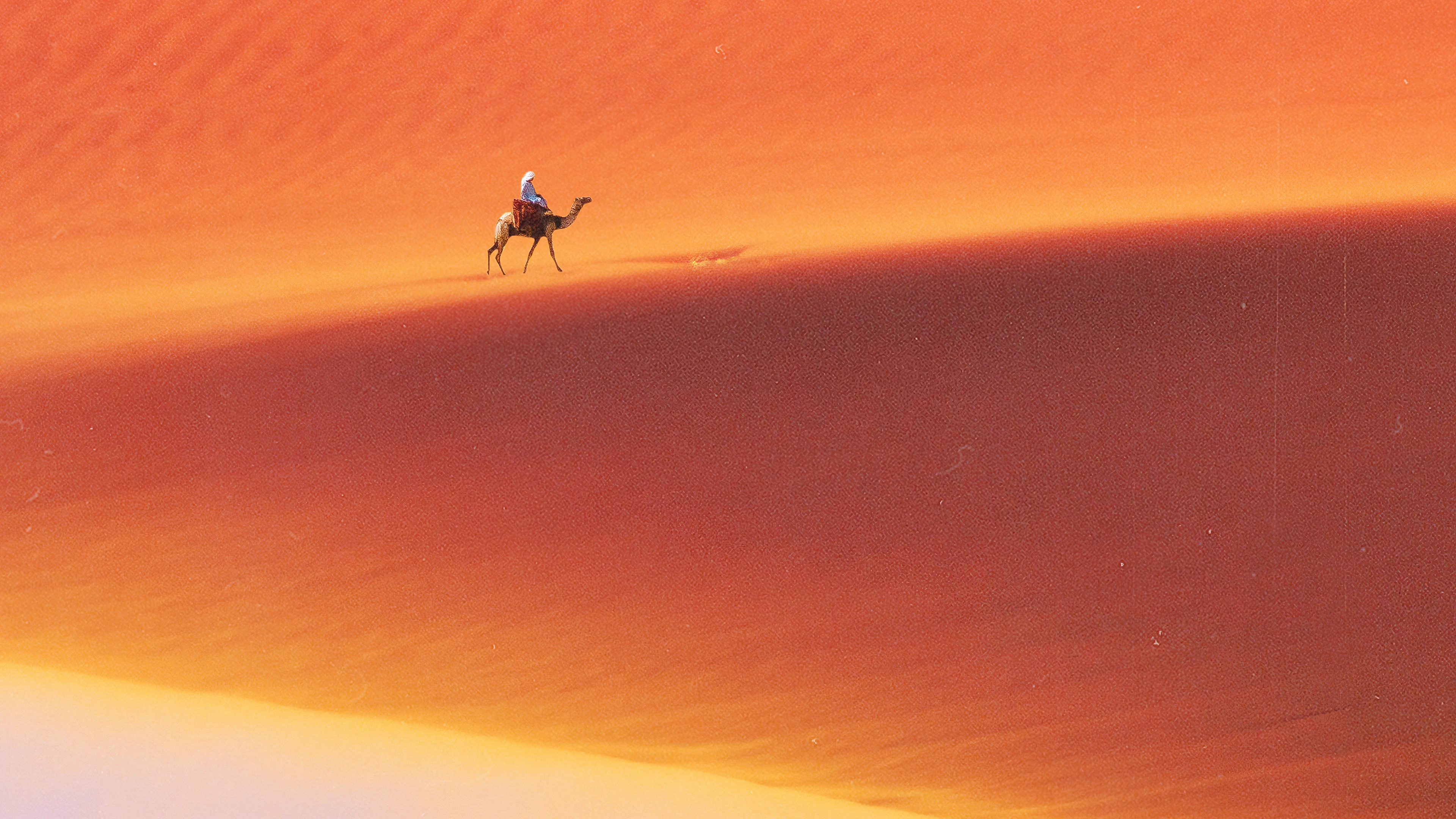 desert man camel safari 64.jpg