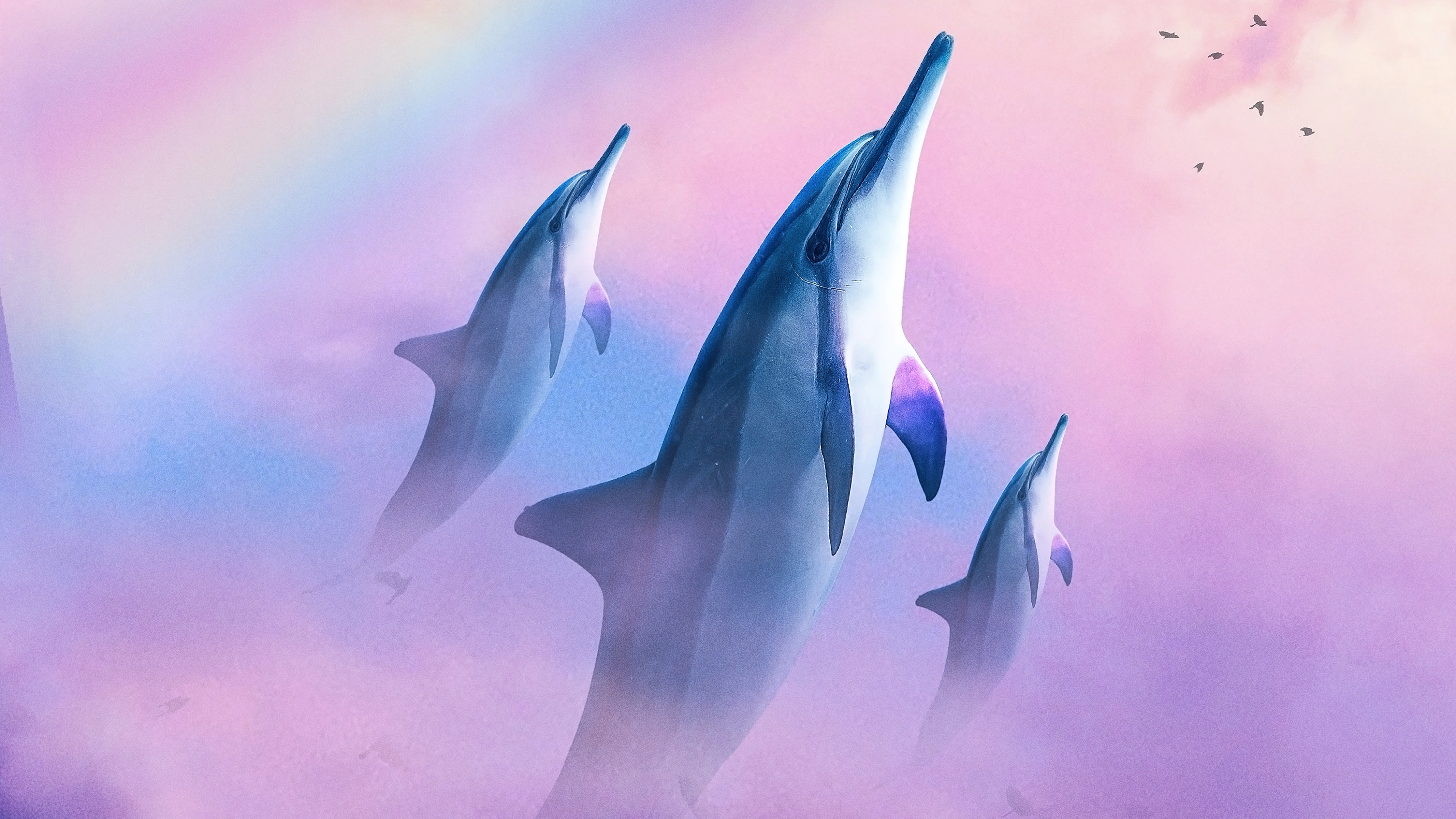 dolphins diving in the sky m6.jpg